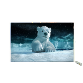 hover image