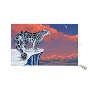 hover image