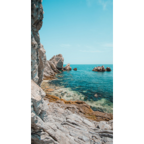 hover image