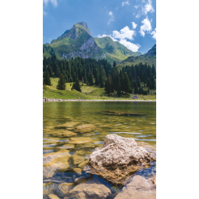 hover image
