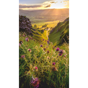 hover image