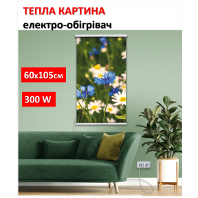 Podgrzewacz obrazu "Chabry" na folii Monocrystal 105x60 cm 300 W