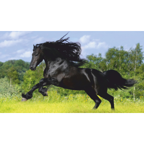 hover image