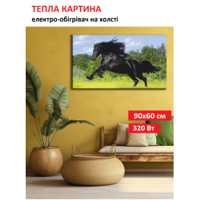 Картина-обігрівач “Чорний кінь” на холсті Monocrystal 90x60 см 320 Вт