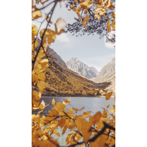 hover image