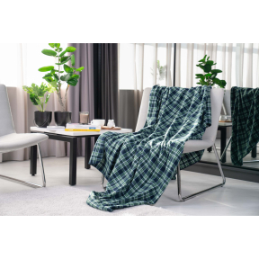 Плед Ardesto Fleece ART-0702-PB 160х200 см зеленый Плед Ardesto Fleece ART-0702-PB 160х200 см зеленый