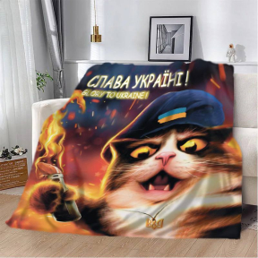 Плед патриотический 3D Кошачья Революция 20222488_B 12370 135х160 см Плед патриотический 3D Кошачья Революция 20222488_B 12370 135х160 см