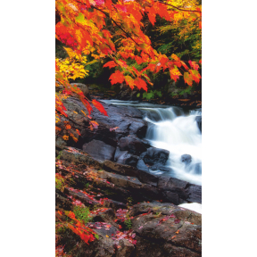 hover image