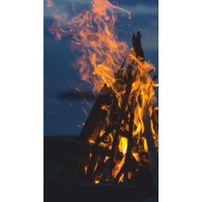 hover image