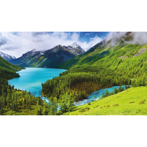 hover image