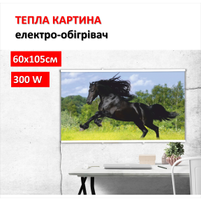 Картина-обігрівач “Чорний кінь” на плівці Monocrystal 105x60 см 300 Вт