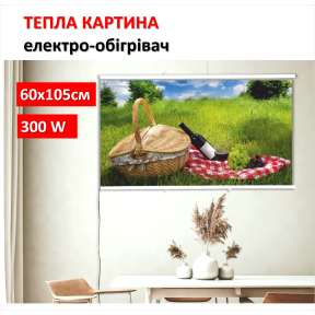 Картина-обігрівач “Пікнік на природі” на плівці Monocrystal 105x60 см 300 Вт
